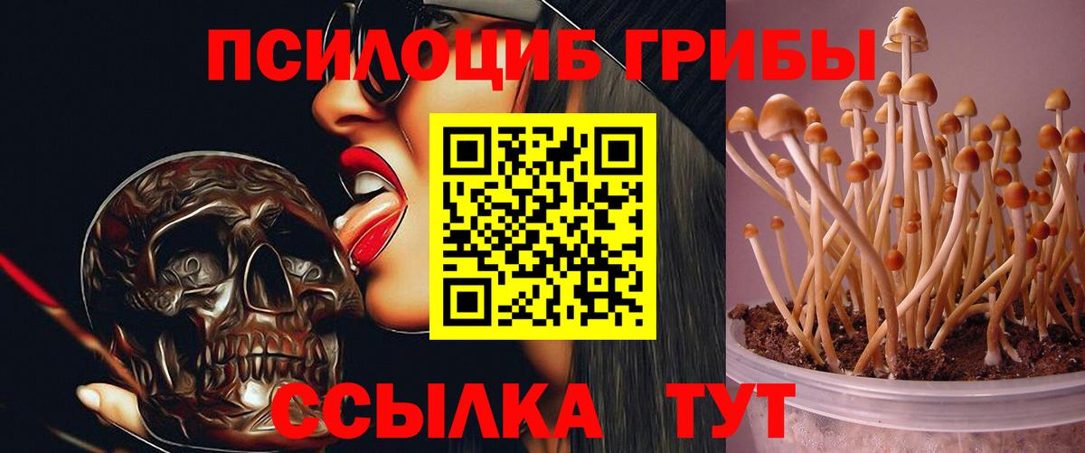 Арсеньев  Галлюциногенные грибы мицелий  Псилоцибиновые грибы мухоморы  Вход с VPN 